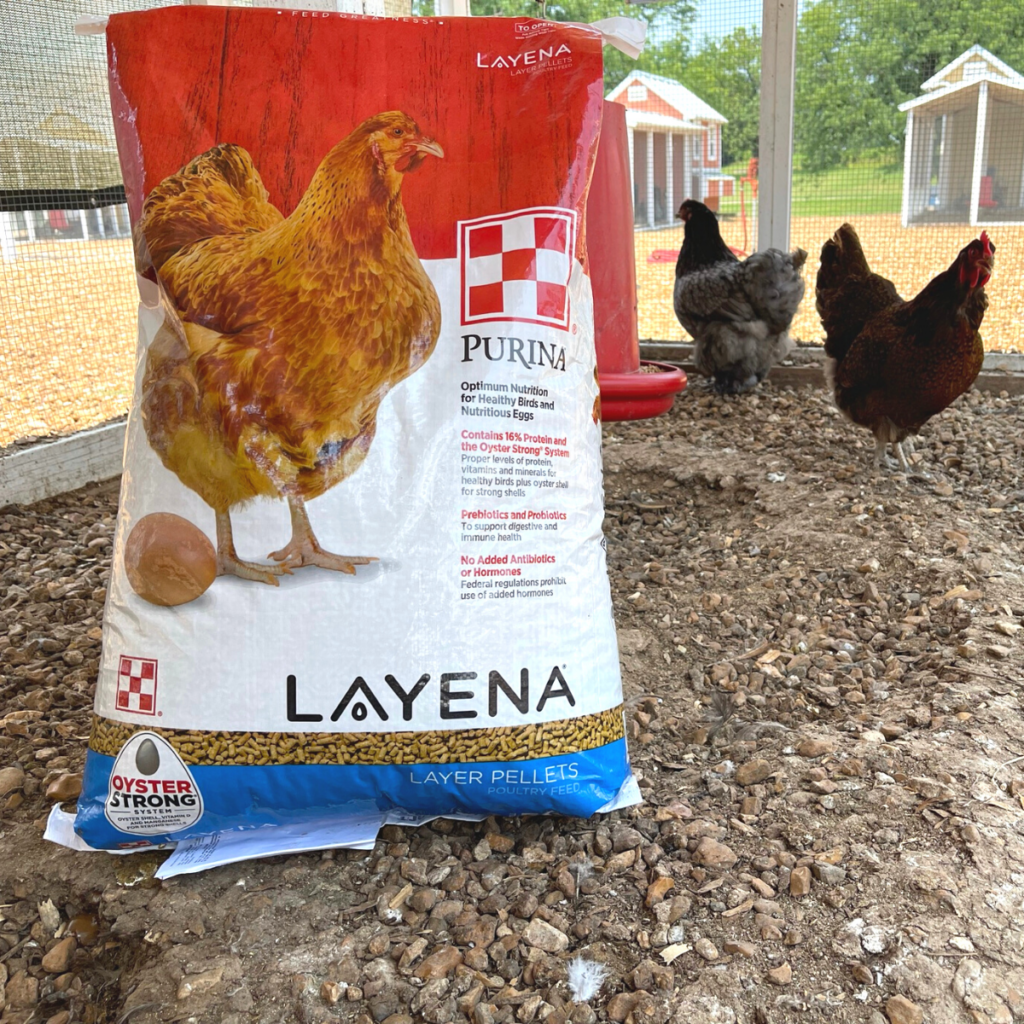 Chicken Vitamins, Chicken Coop Supplies